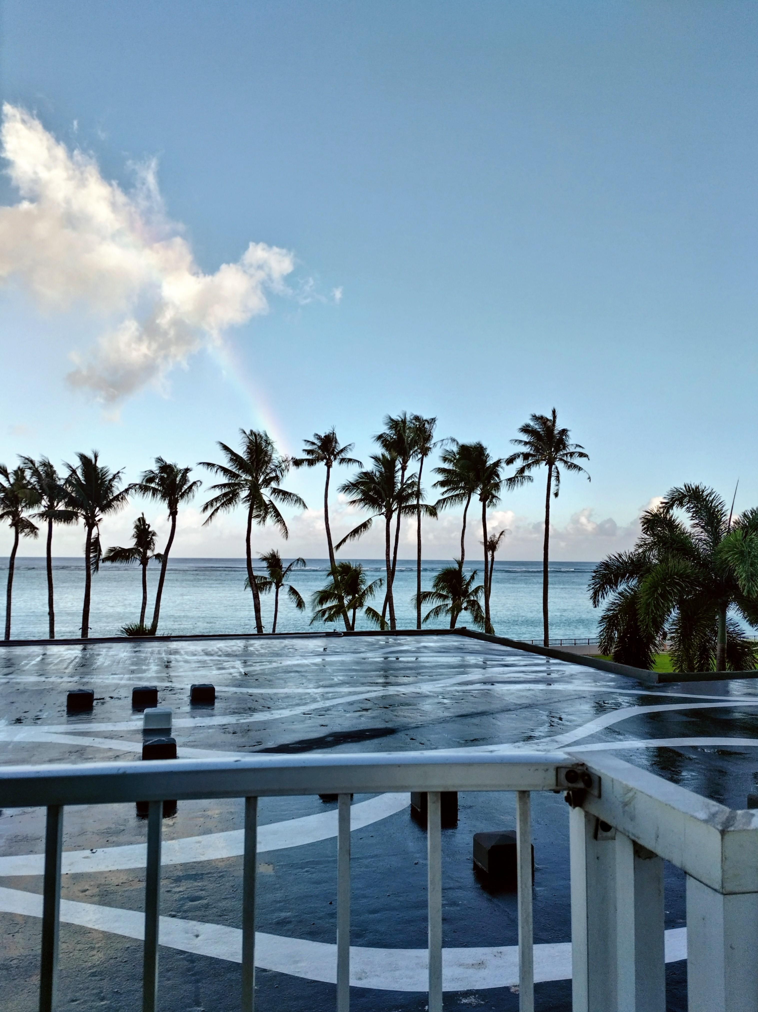 虹が見えました。