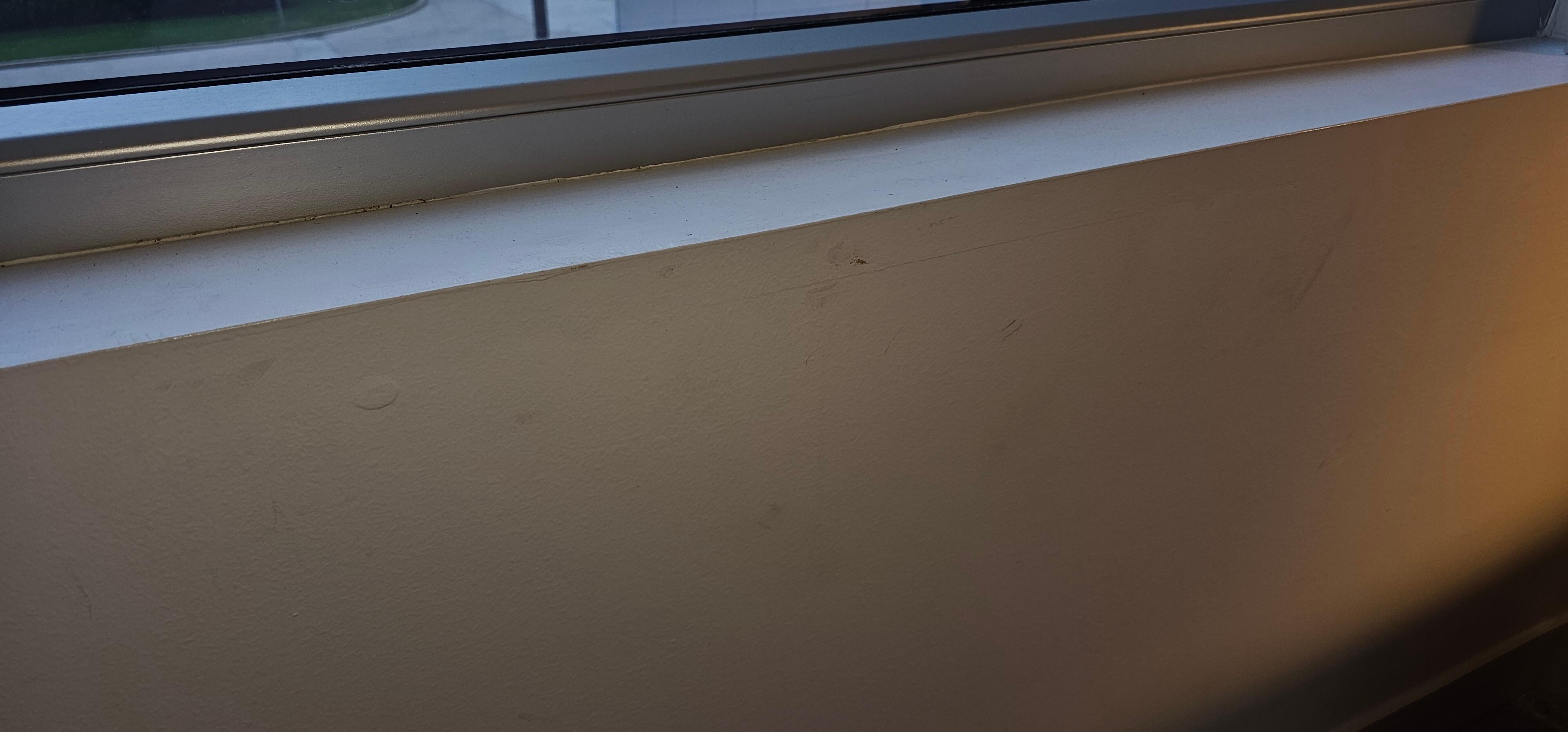 Odd stains on walls. Small black dots are ants. There were a lot more than I took pictures of