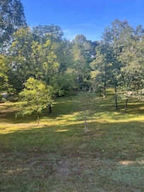 Side yard from second floor bedroom.