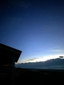 Driftwood stars before dawn 2025