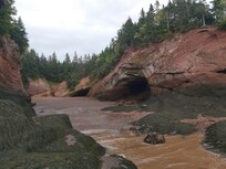 Caves visited at low tide. 20 minute walk from the cottage