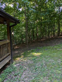 Front lawn