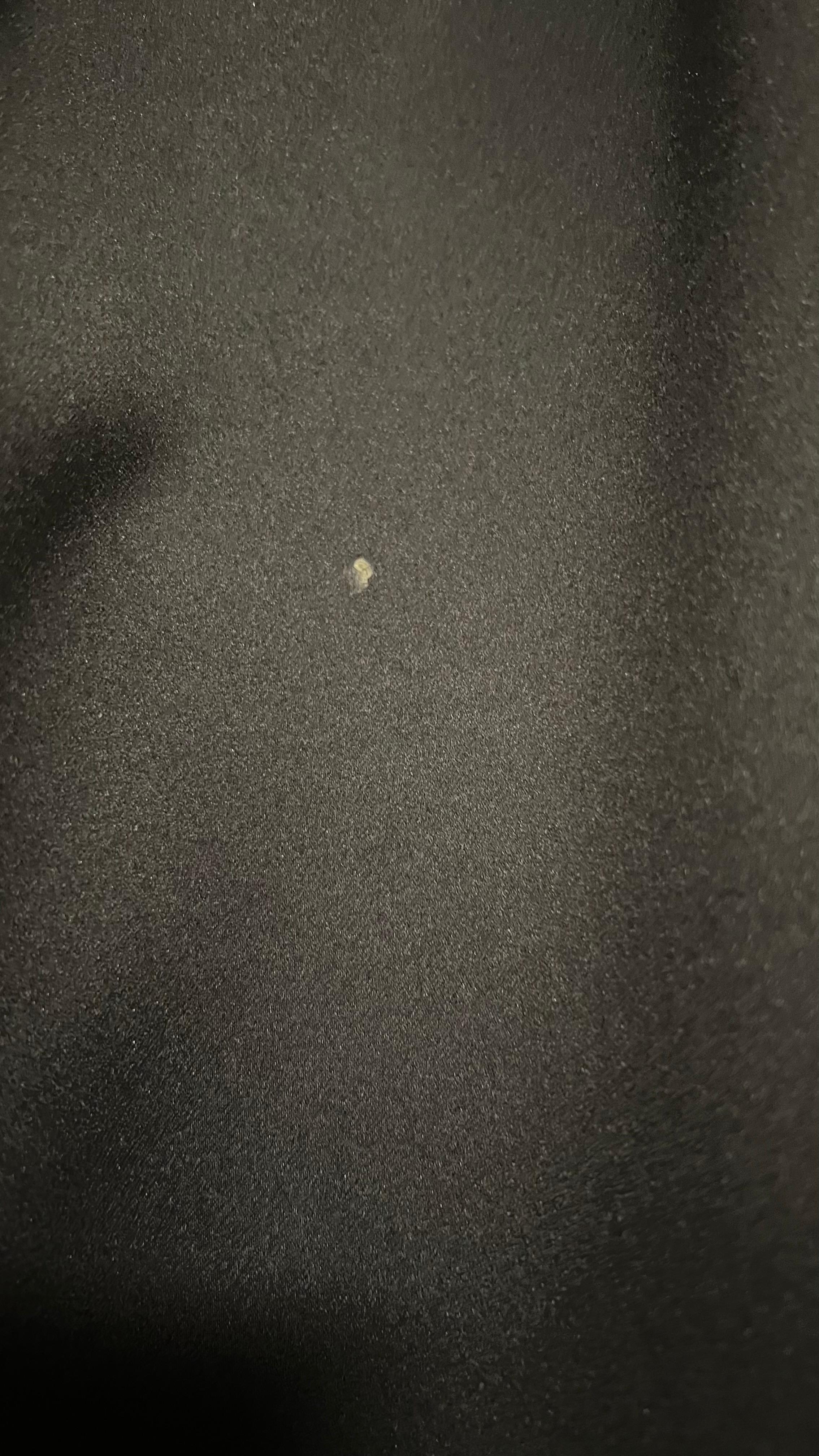 Bodily fluids on the curtain (confirmed by UV flashlight).