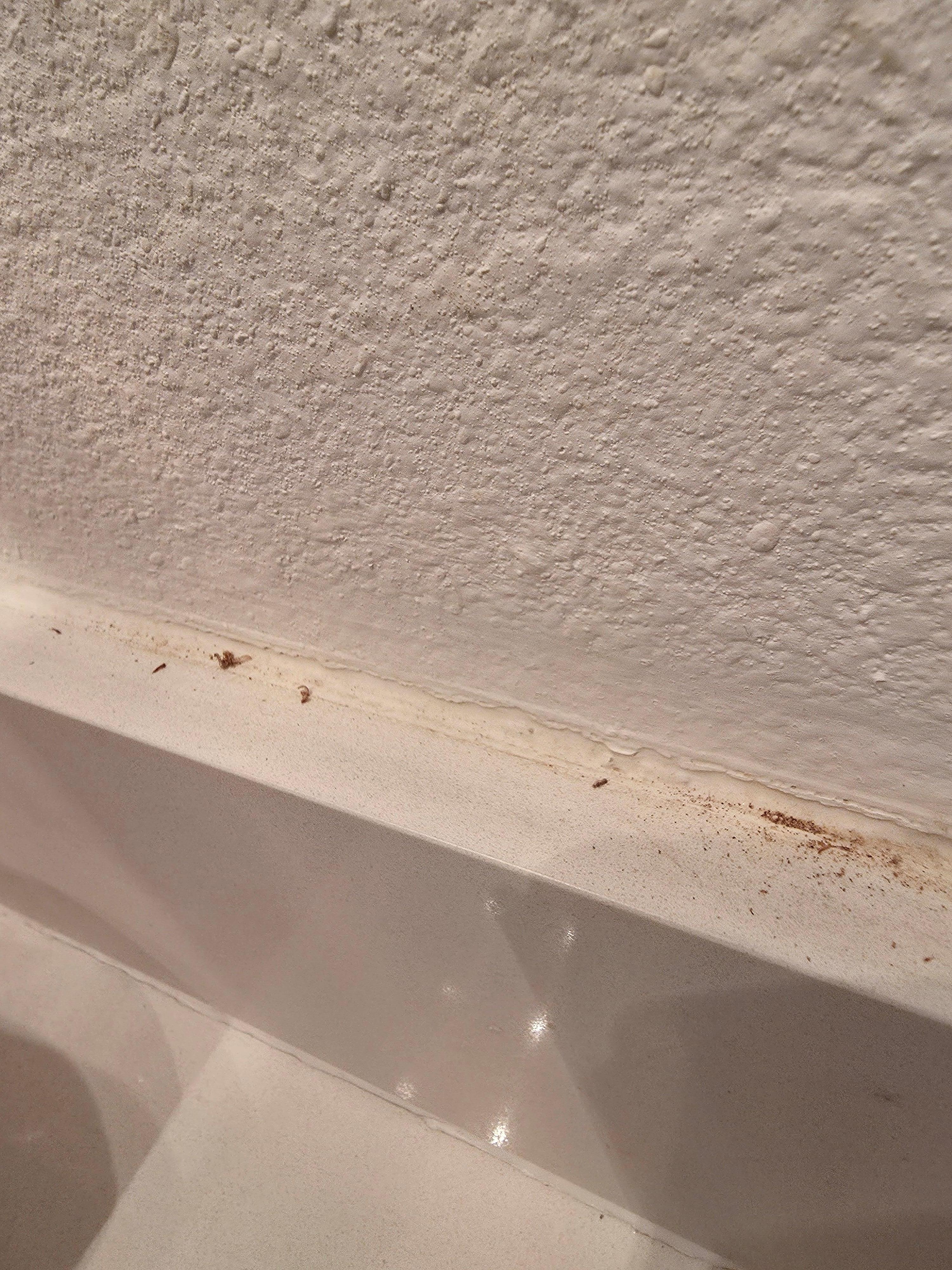 Dirty bathroom counter upon arrival. 