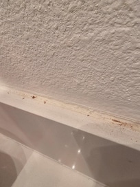 Dirty bathroom counter upon arrival.