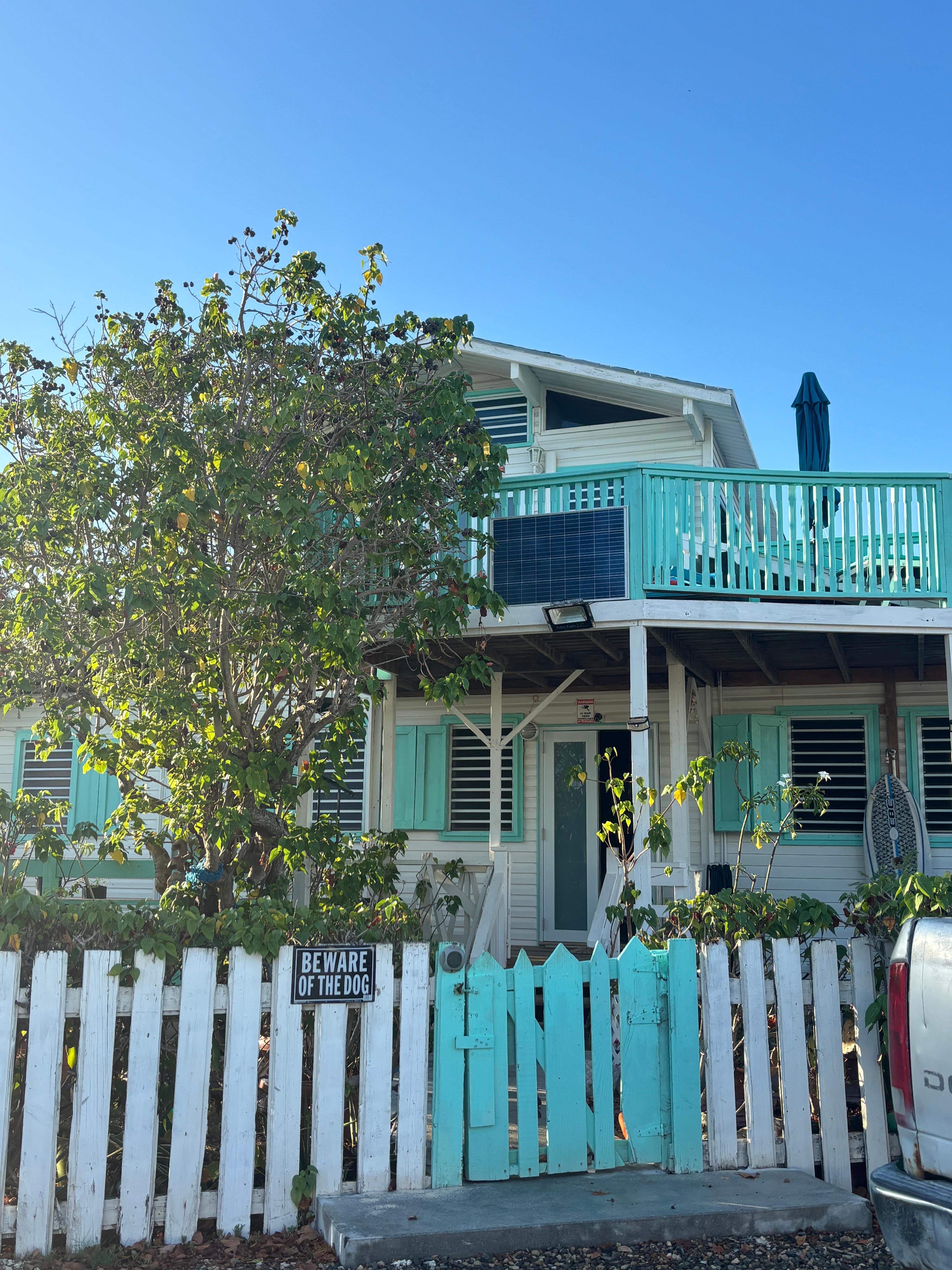 Beware of dog, because he may want to be petted every time you come home.