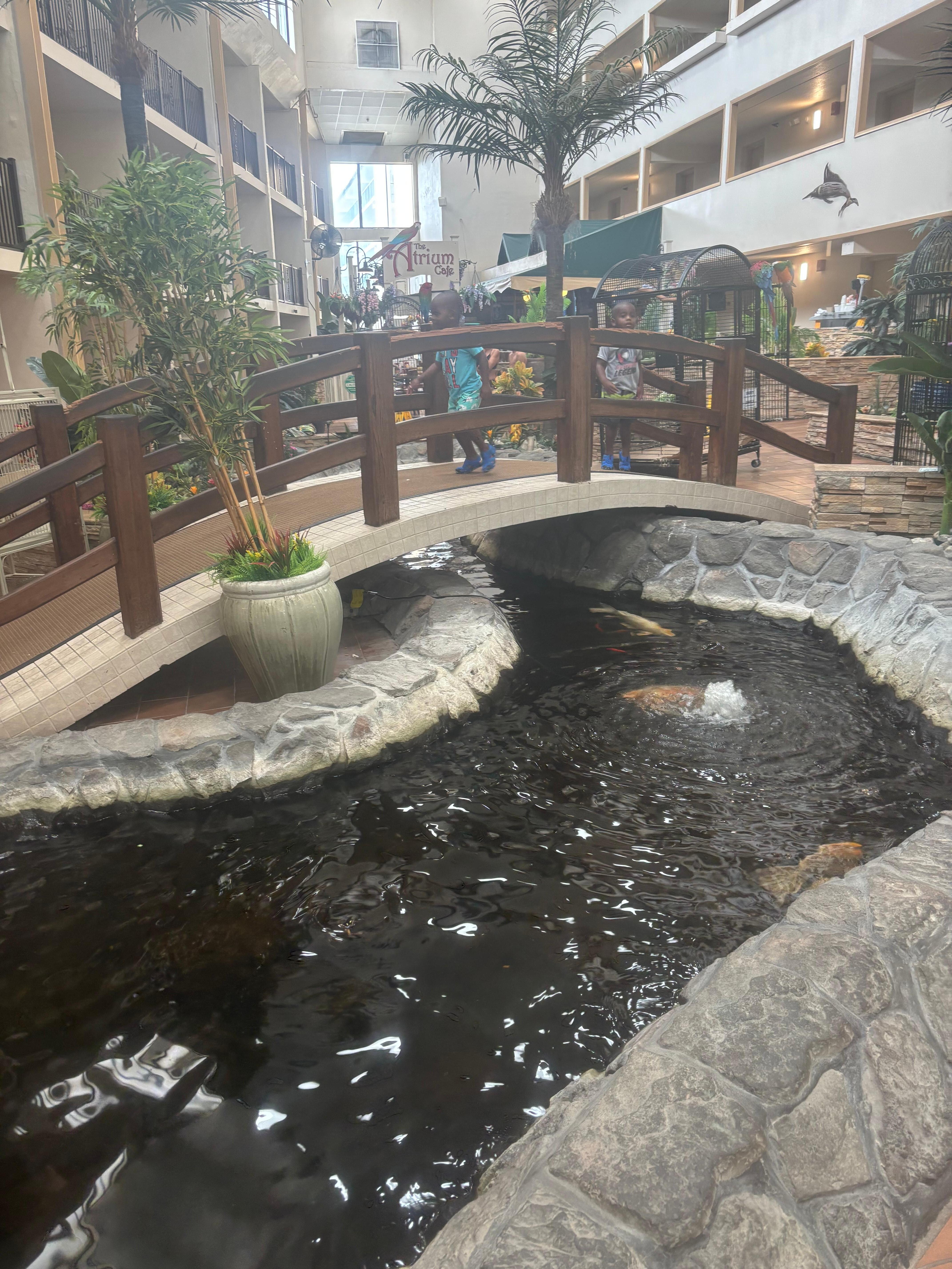 Another view of the Atrium