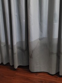 The curtains had blood and what looked to be pee stains.