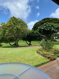 the view from the lanai. There is a lovely big lawn area beyond those gorgeous plumeria trees.