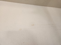 Big dirty spots on the wall by the office table