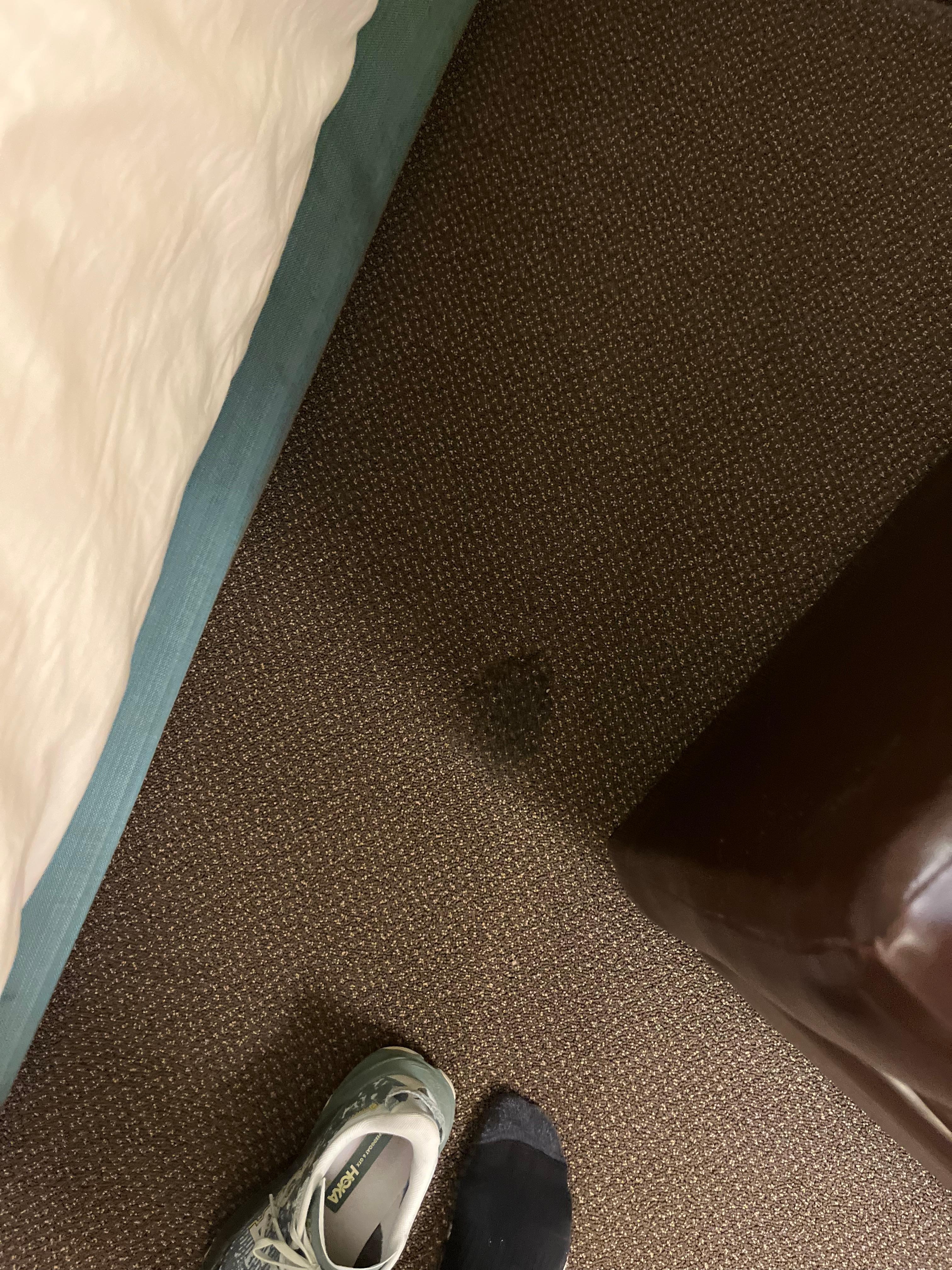 Huge stain on floor and underneath bed