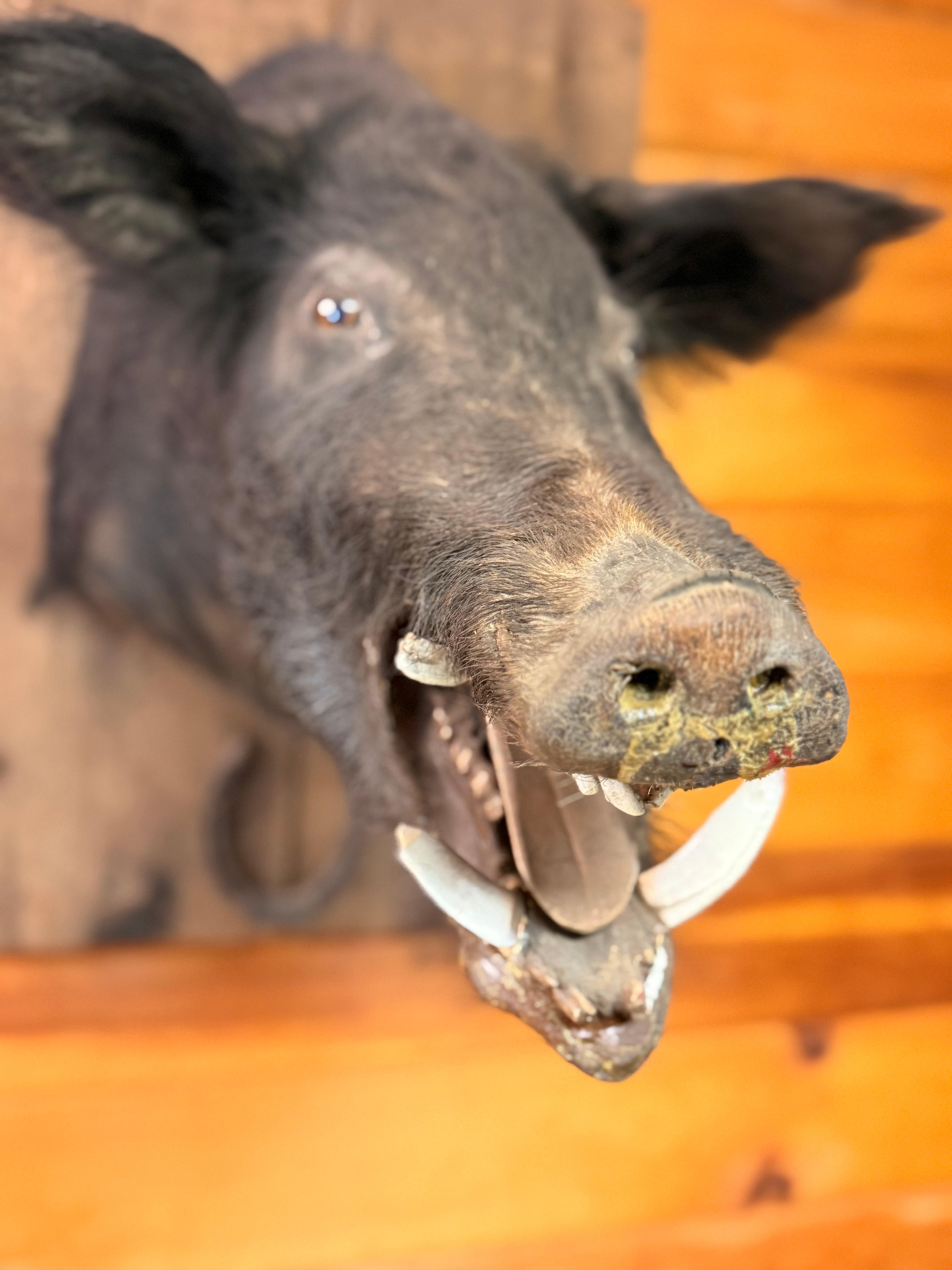 Love the creativity through the house