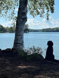 Our 2 Portuguese Water Dogs loved the lake and we loved the fenced yard!