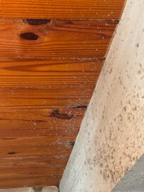 Large amount of dust buildup on ceiling