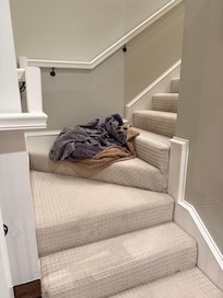 dirty towels left on the stairs