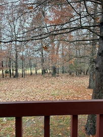 View from the porch swing.