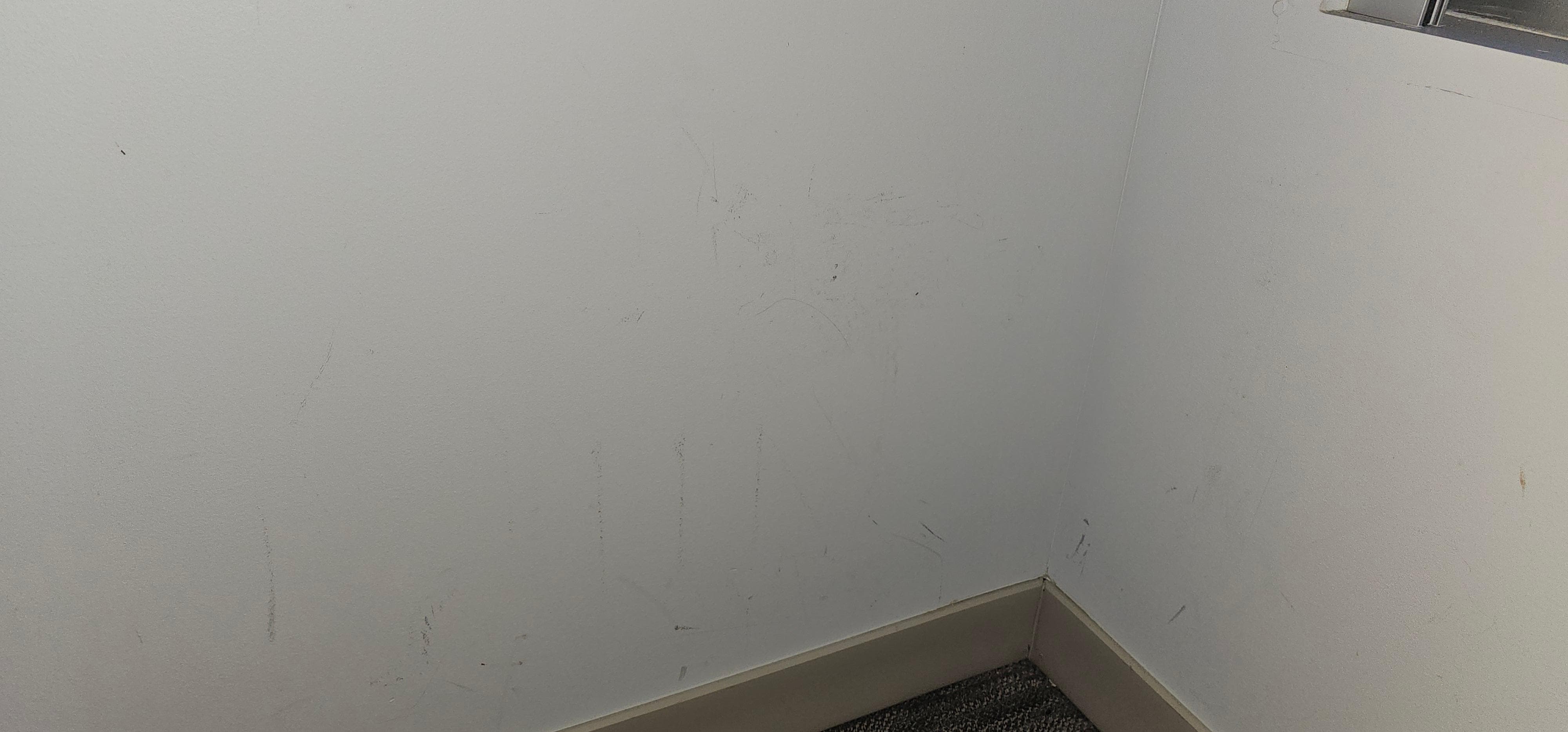 Odd stains on walls. Small black dots are ants. There were a lot more than I took pictures of