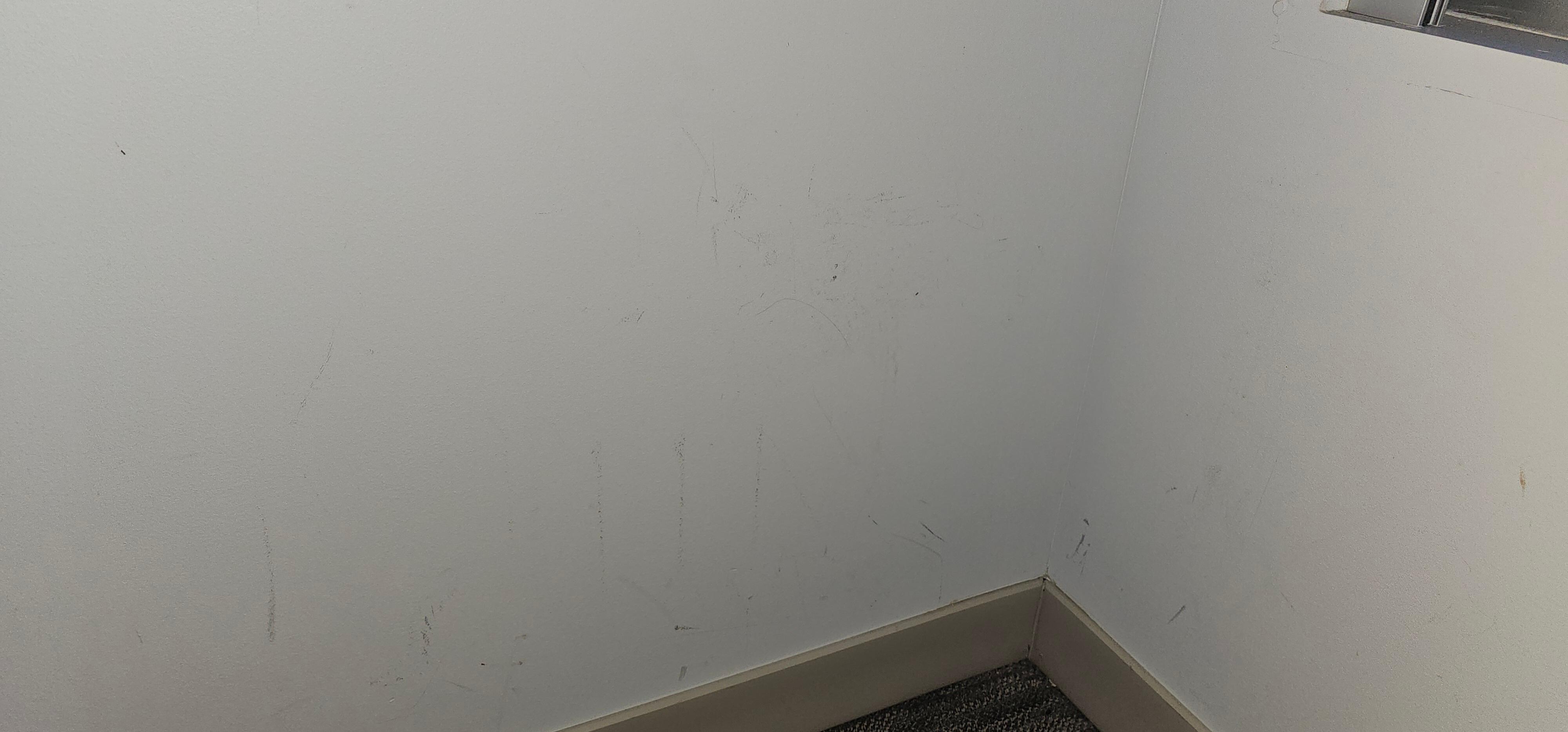 Odd stains on walls. Small black dots are ants. There were a lot more than I took pictures of