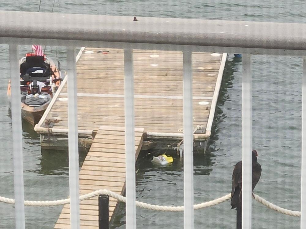 Coming out to do some fishing and a buzzard was watching my kayak...Ominous.