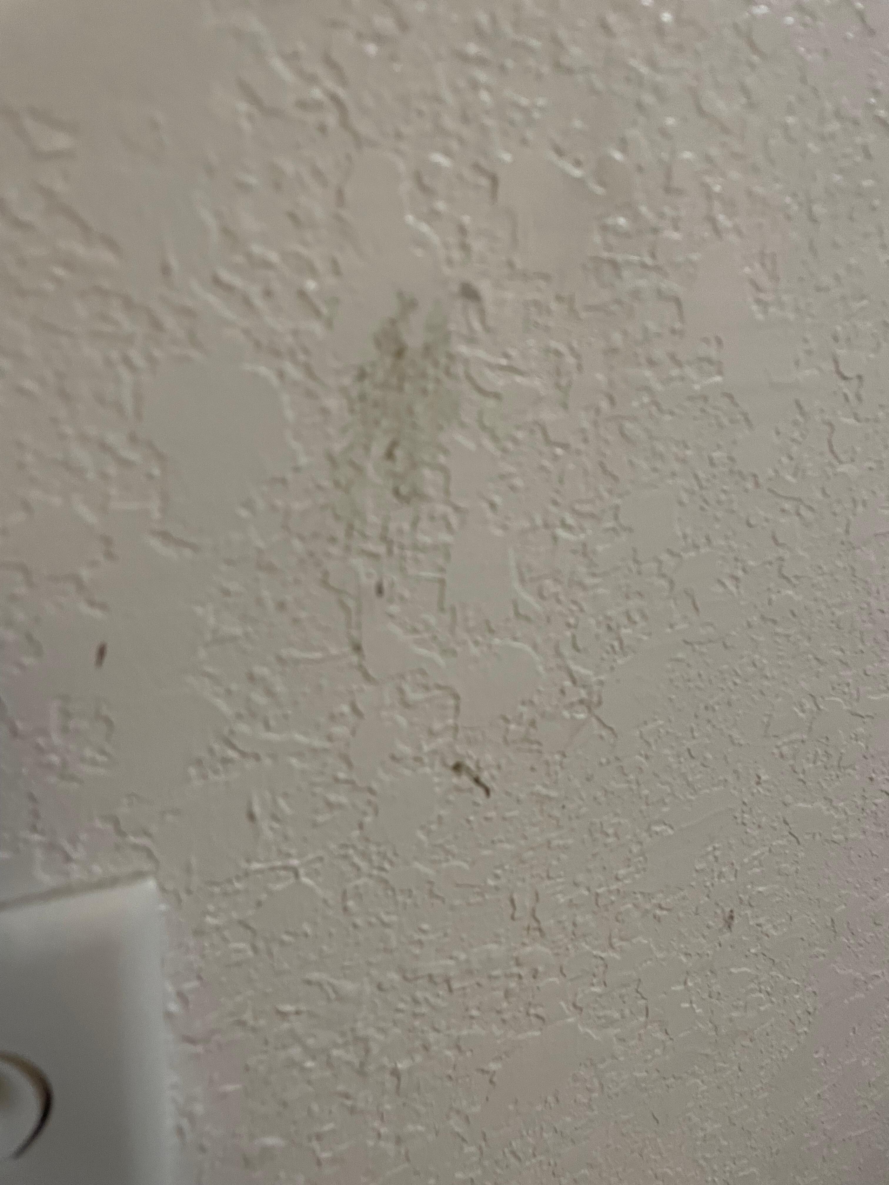 messes all over the wall 