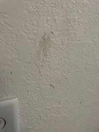 messes all over the wall