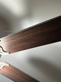 Thick layer of dust on fans