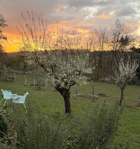 Wunderschöne alte Obstbäume