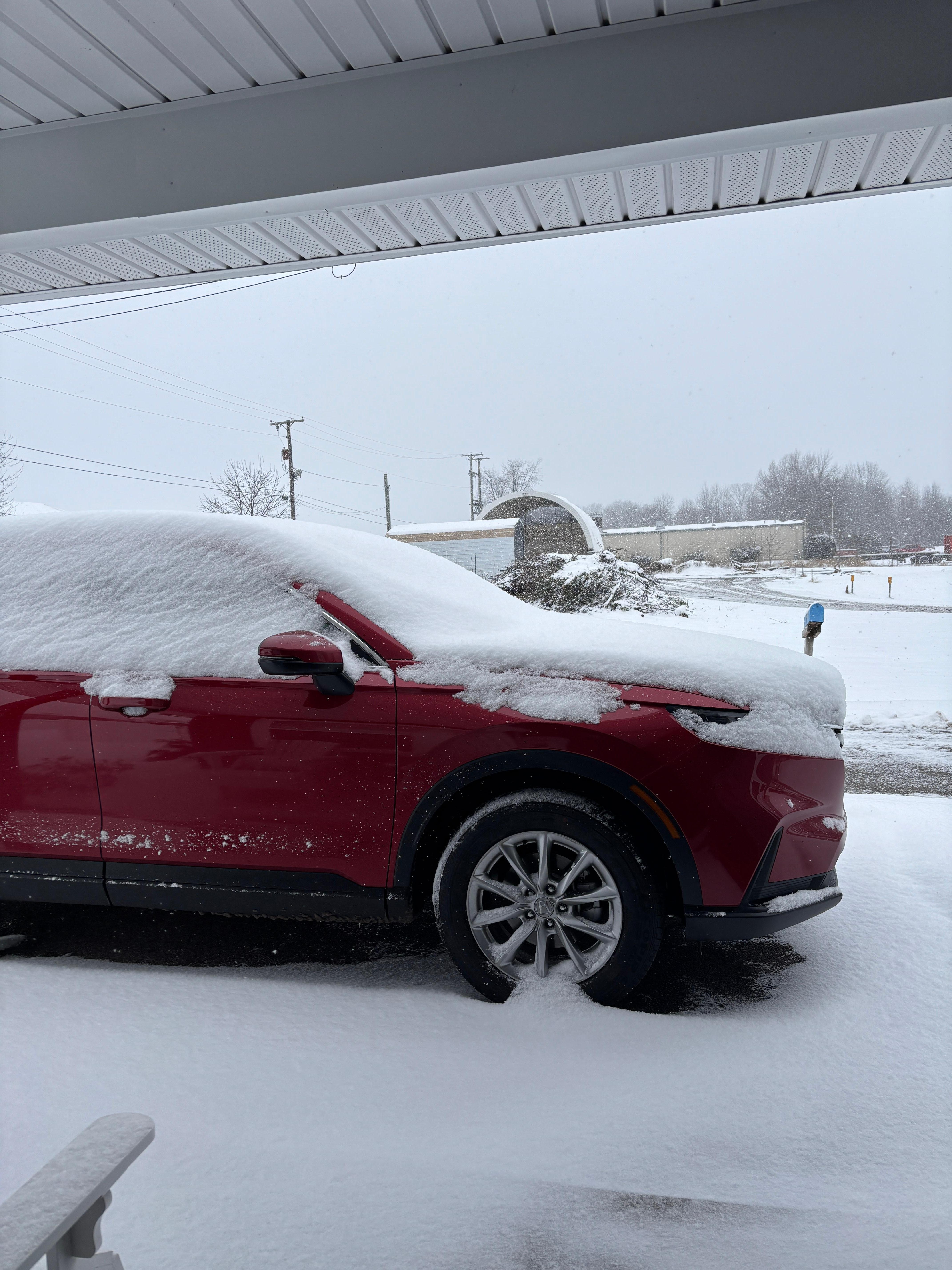 The view from the front door.  More snow than was forecast, but the roads were very well cleared by the time we headed out to shop.