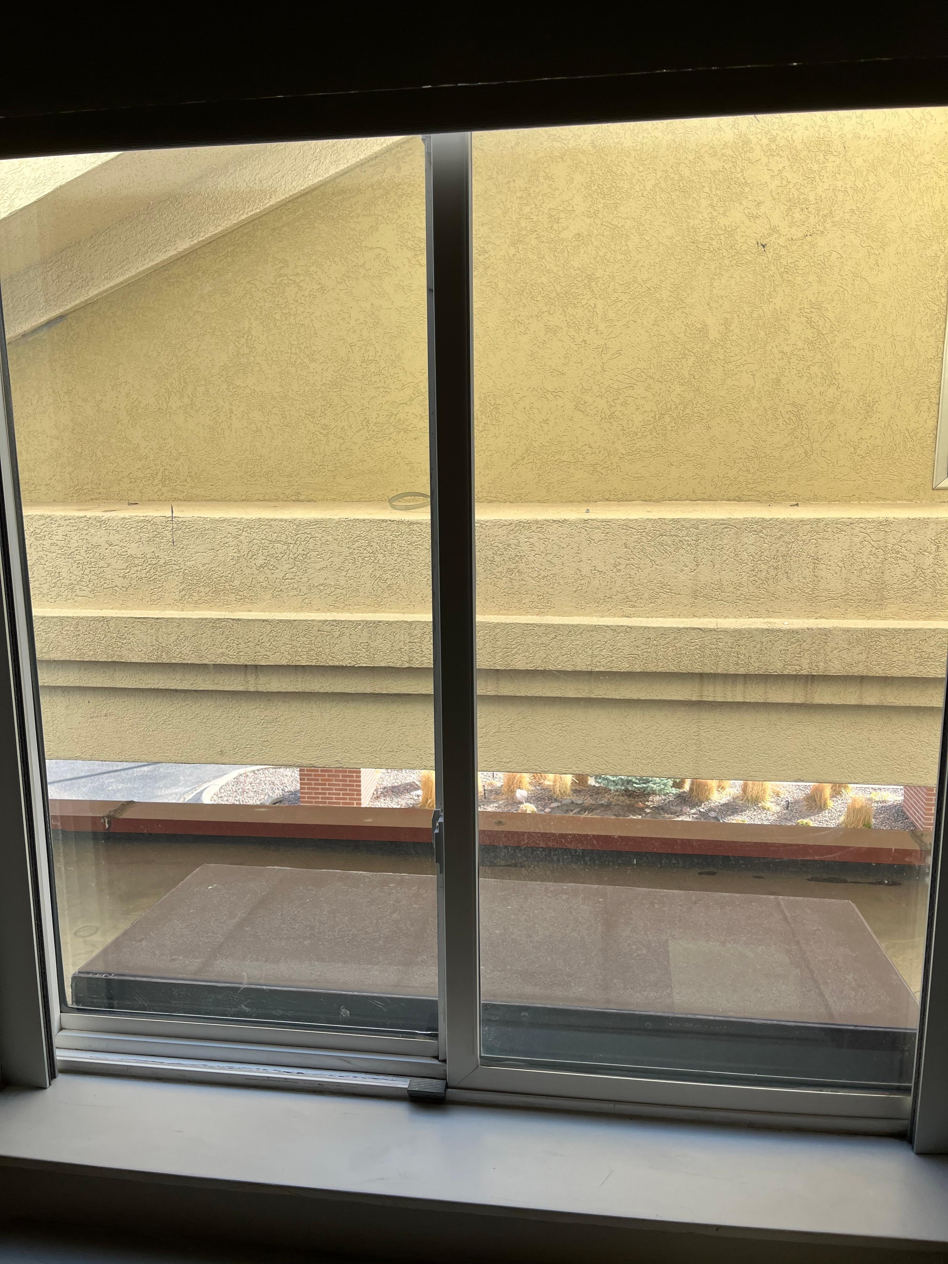 The view