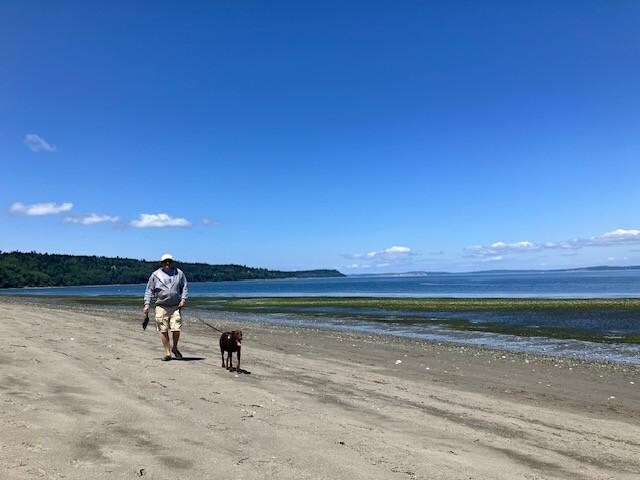 beach walk