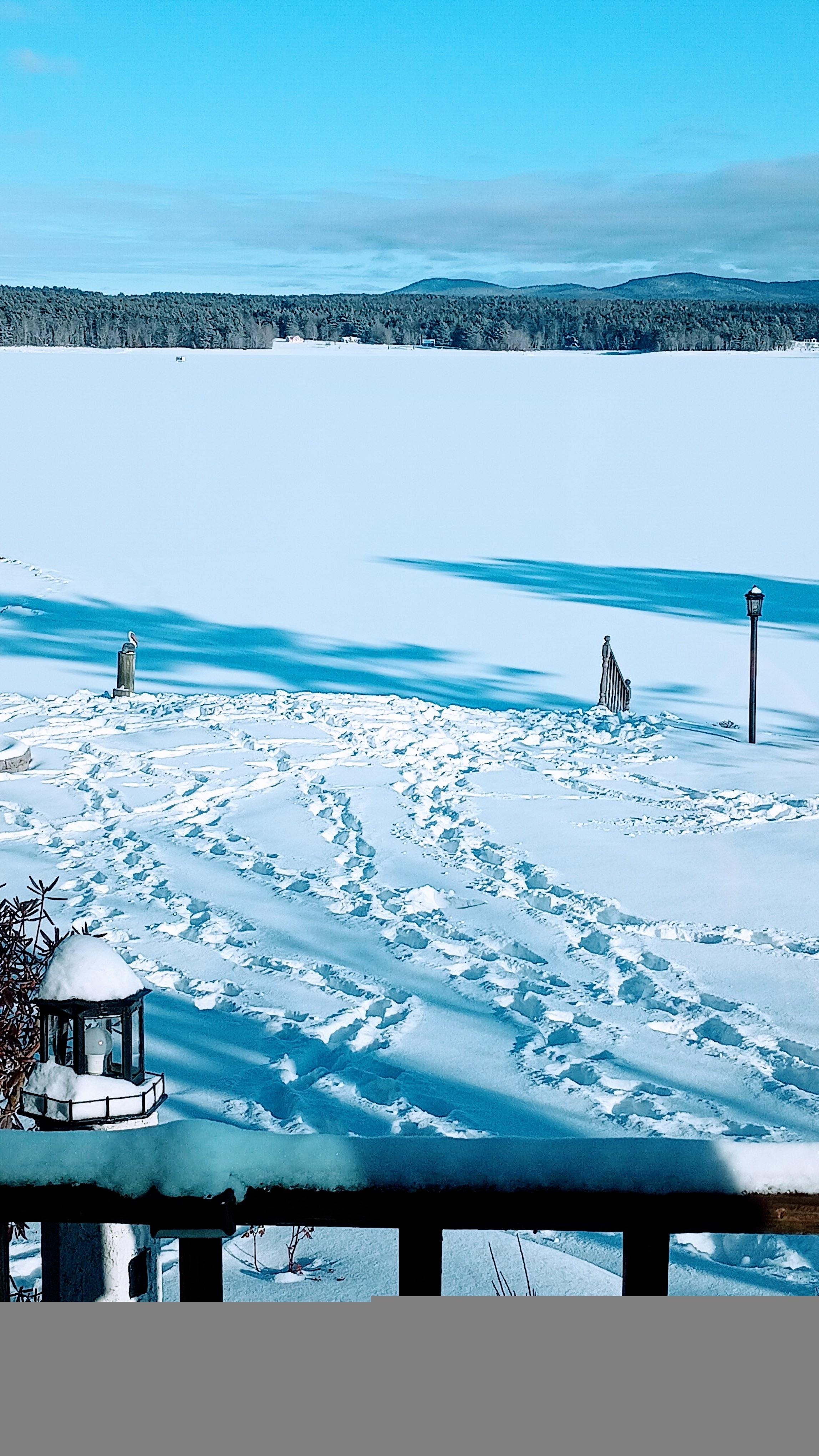 View of the lake from the porch