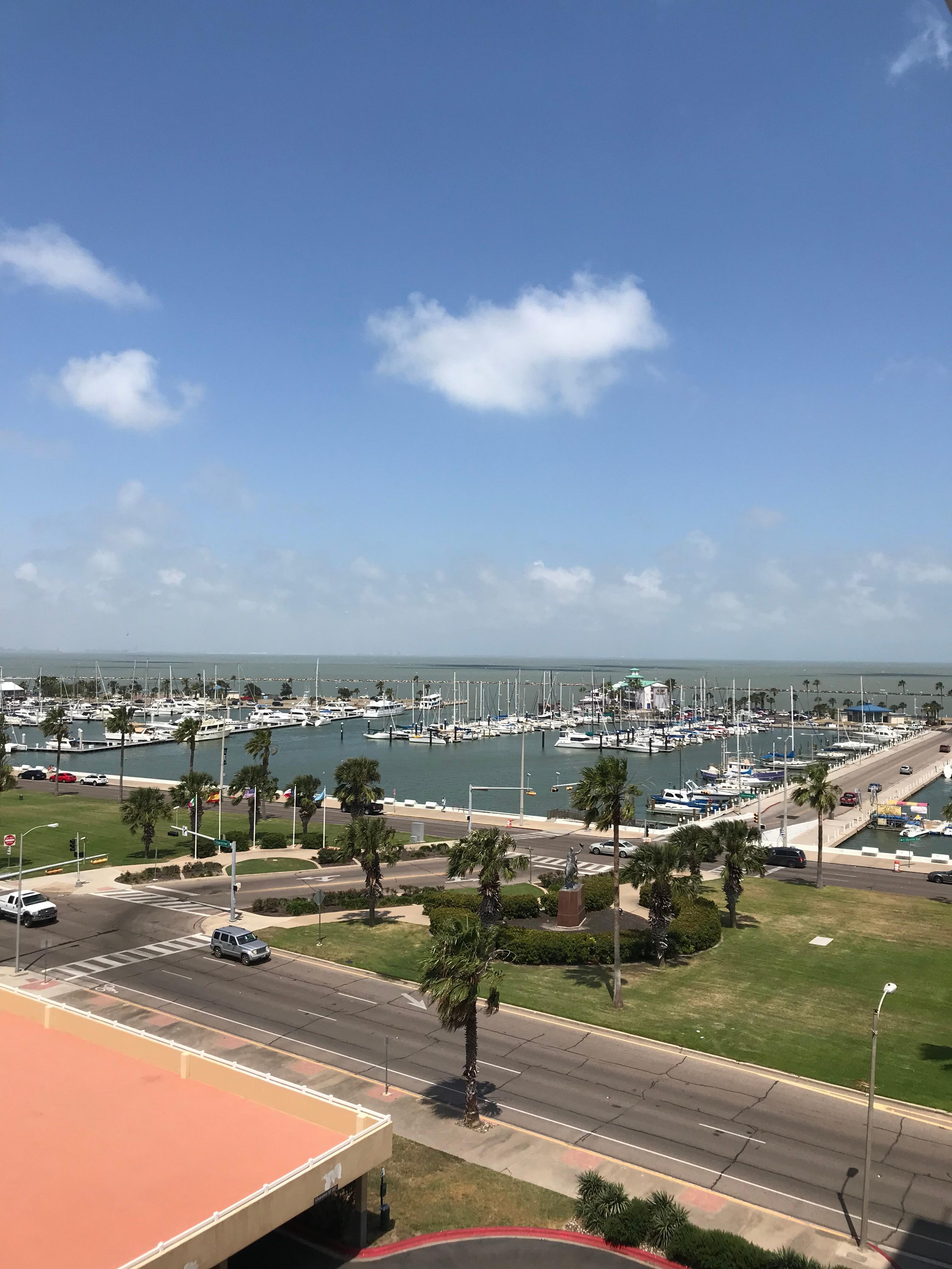 Best Western Corpus Christi Corpus Christi 2019 Room Prices Reviews Best western corpus christi corpus christi 2019 room prices reviews