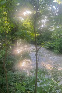 Sunset by the creek
