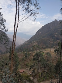 The view from the balcony off of the room