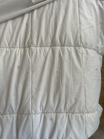 Blodfläckar på täcket