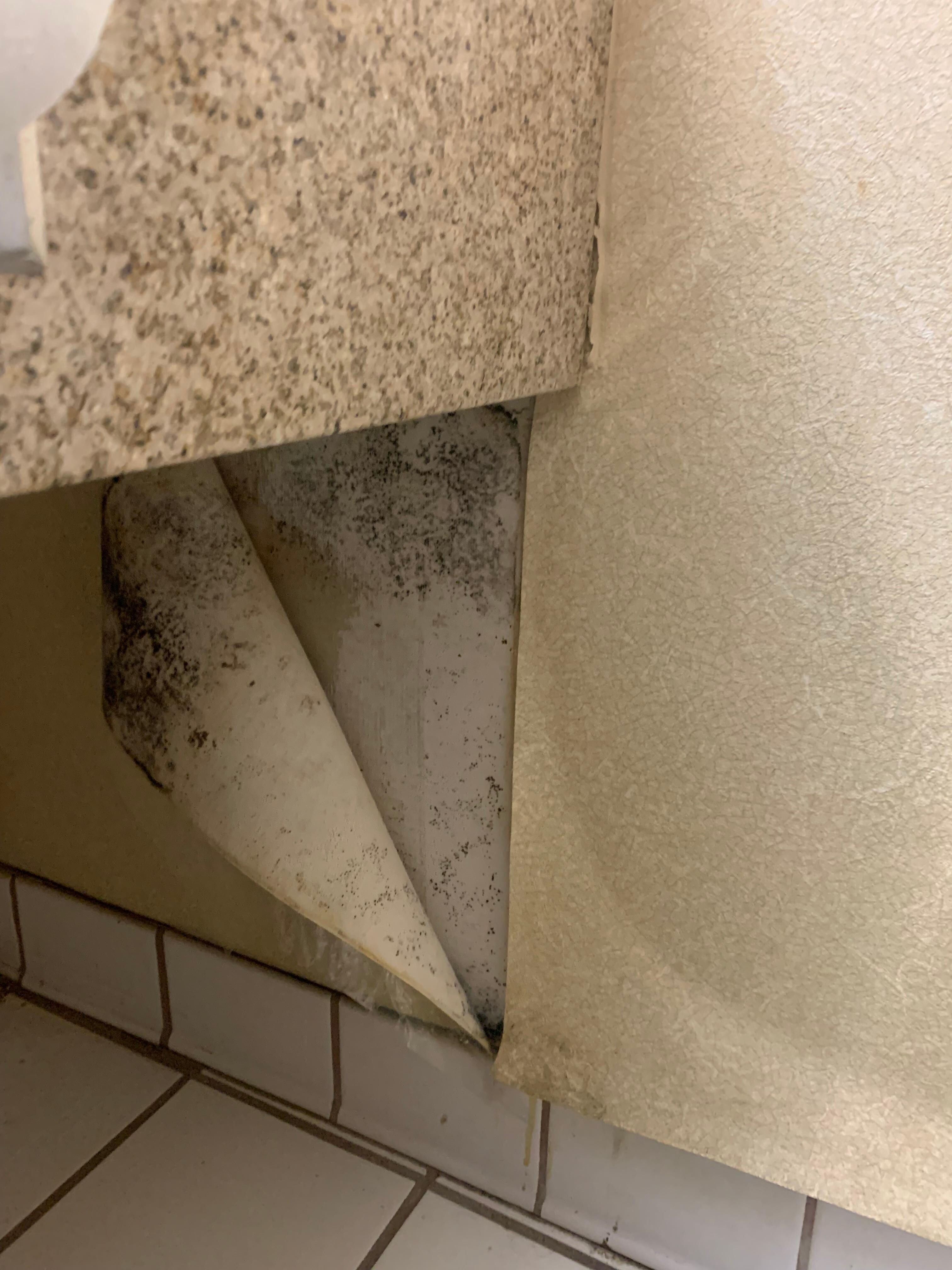 The bathroom 