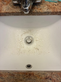 After sink finally drained there was a backup from the drain of dirt