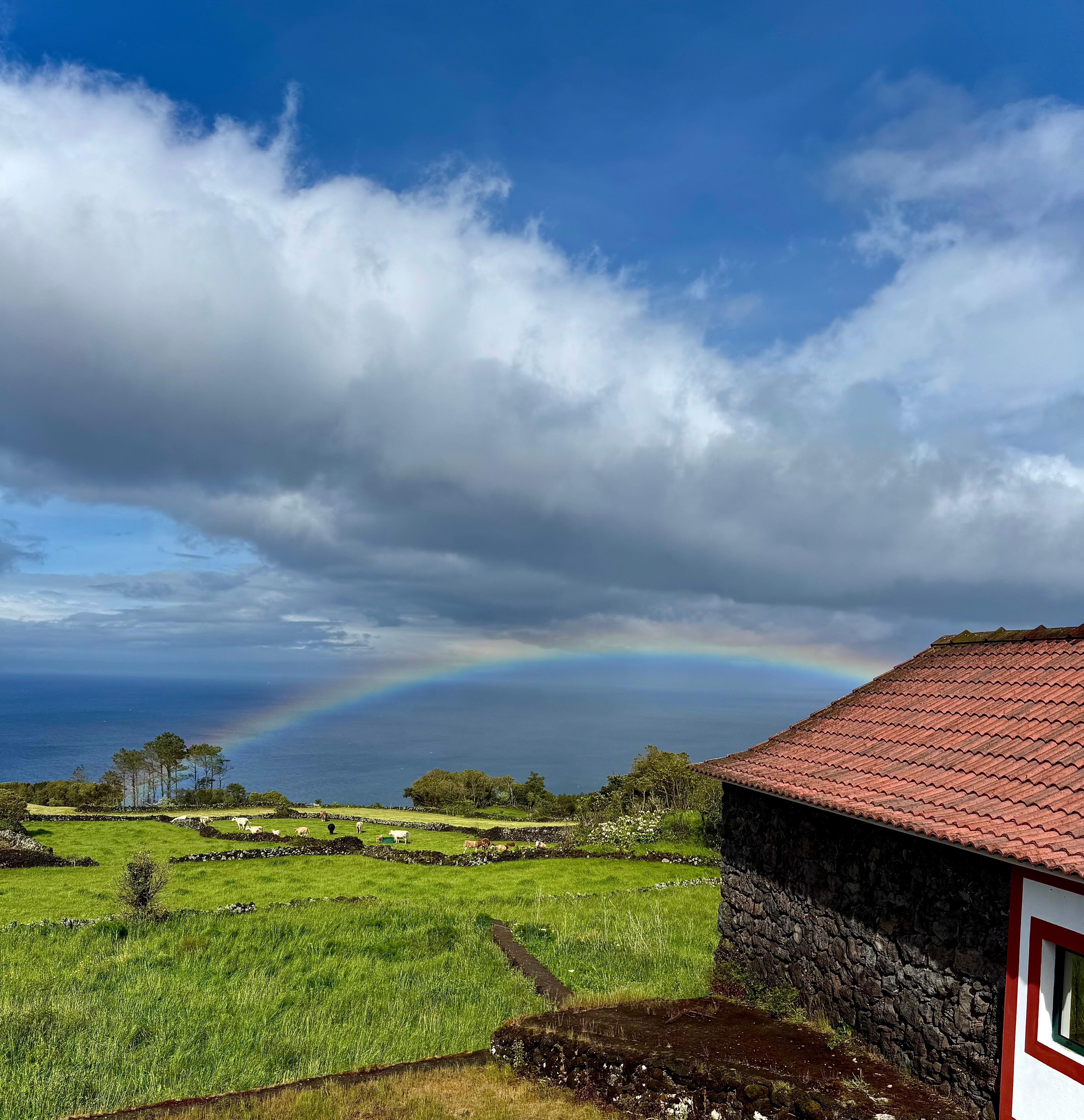 View from the house with rainbow!