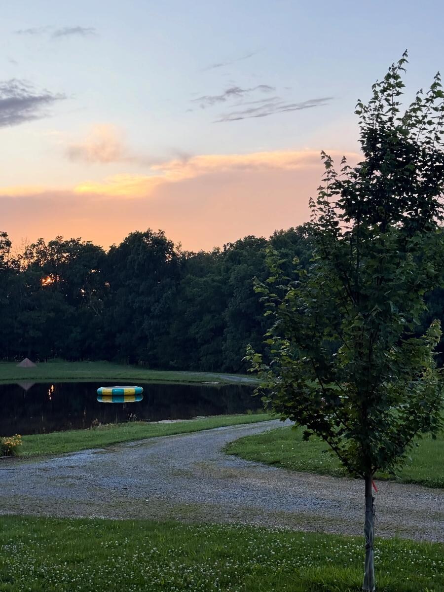 Sunset @ the property
