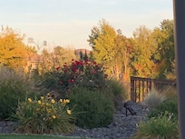 View from walking path outside restaurant.