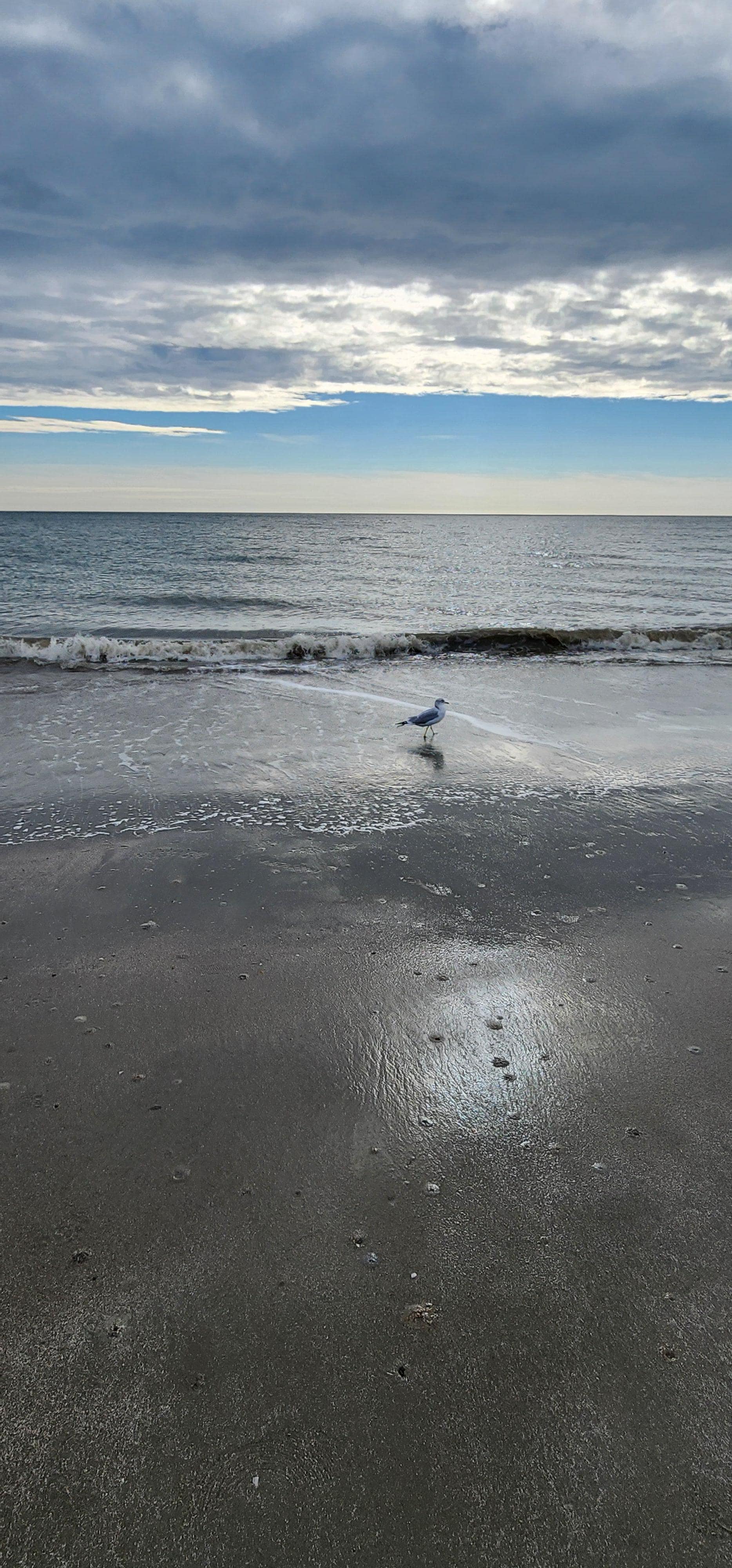 Folly beach was only a walk away 