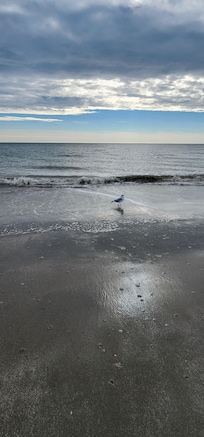 Folly beach was only a walk away