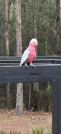 He looks like he’s here, checking things out.!