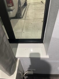Termites going up window
