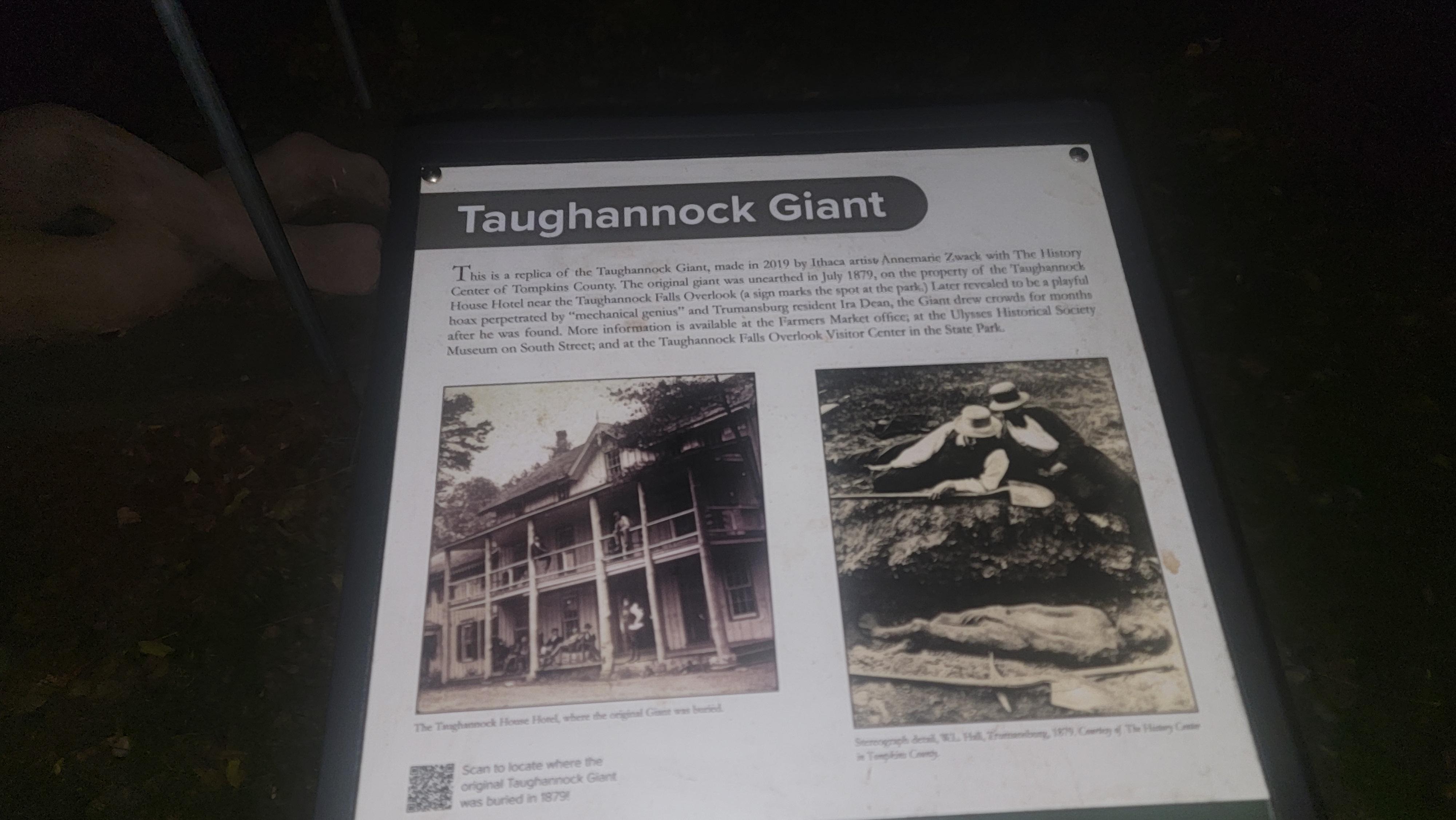 Taughannock Giant description 