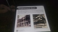 Taughannock Giant description