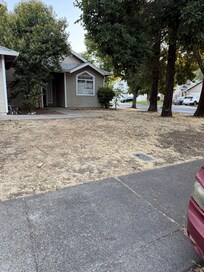 Dried, dead grass on front and rear lawns