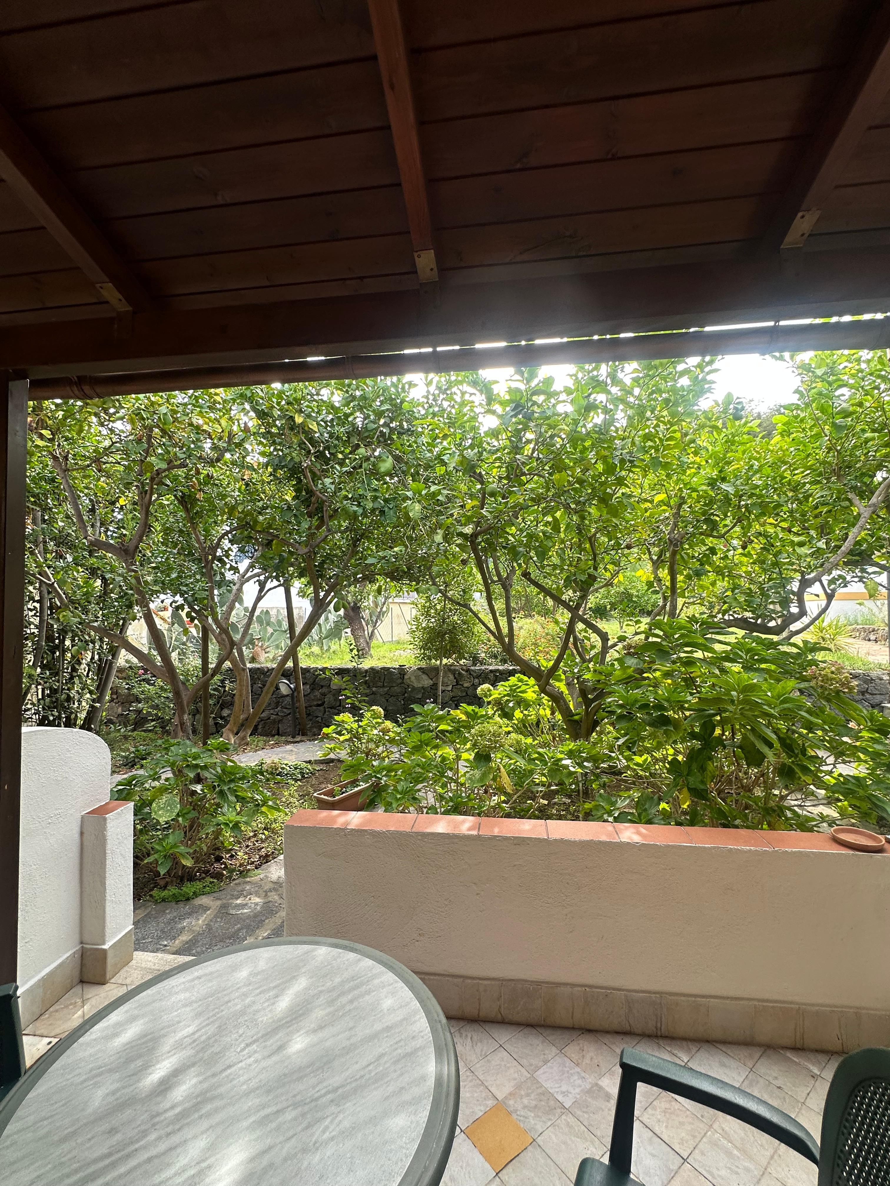 Terrasse til værelset