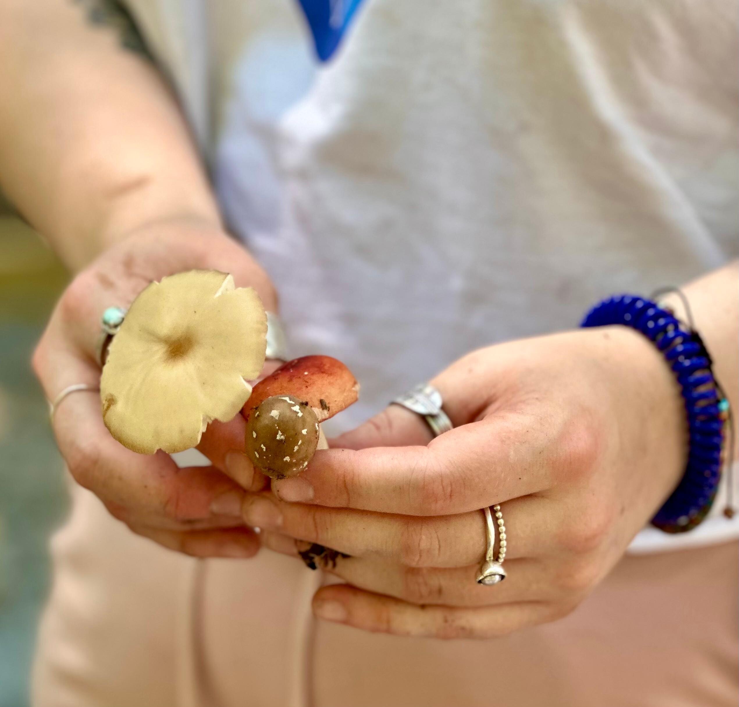 foraged wild mushrooms 