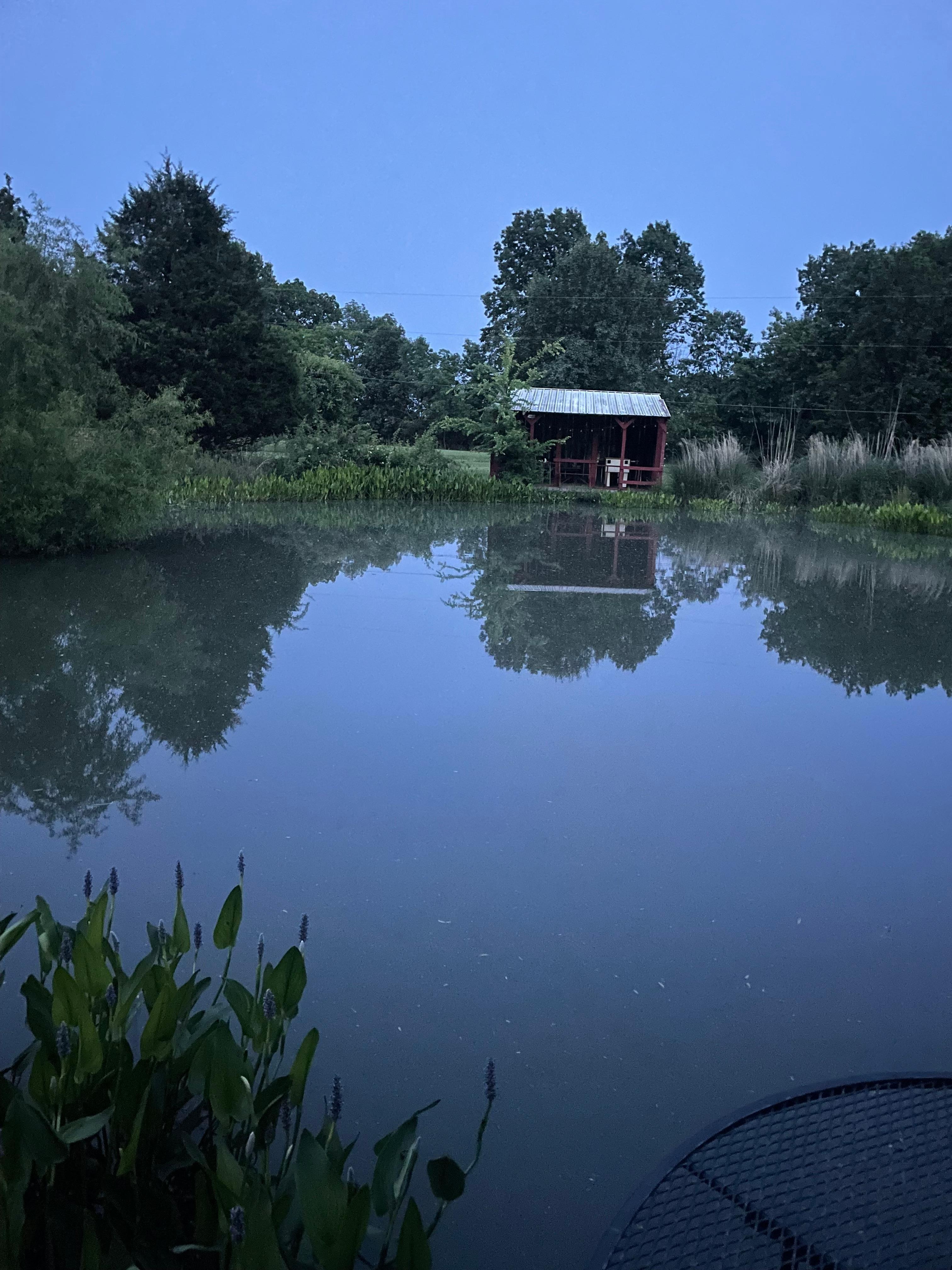 The pond was absolutely beautiful.
